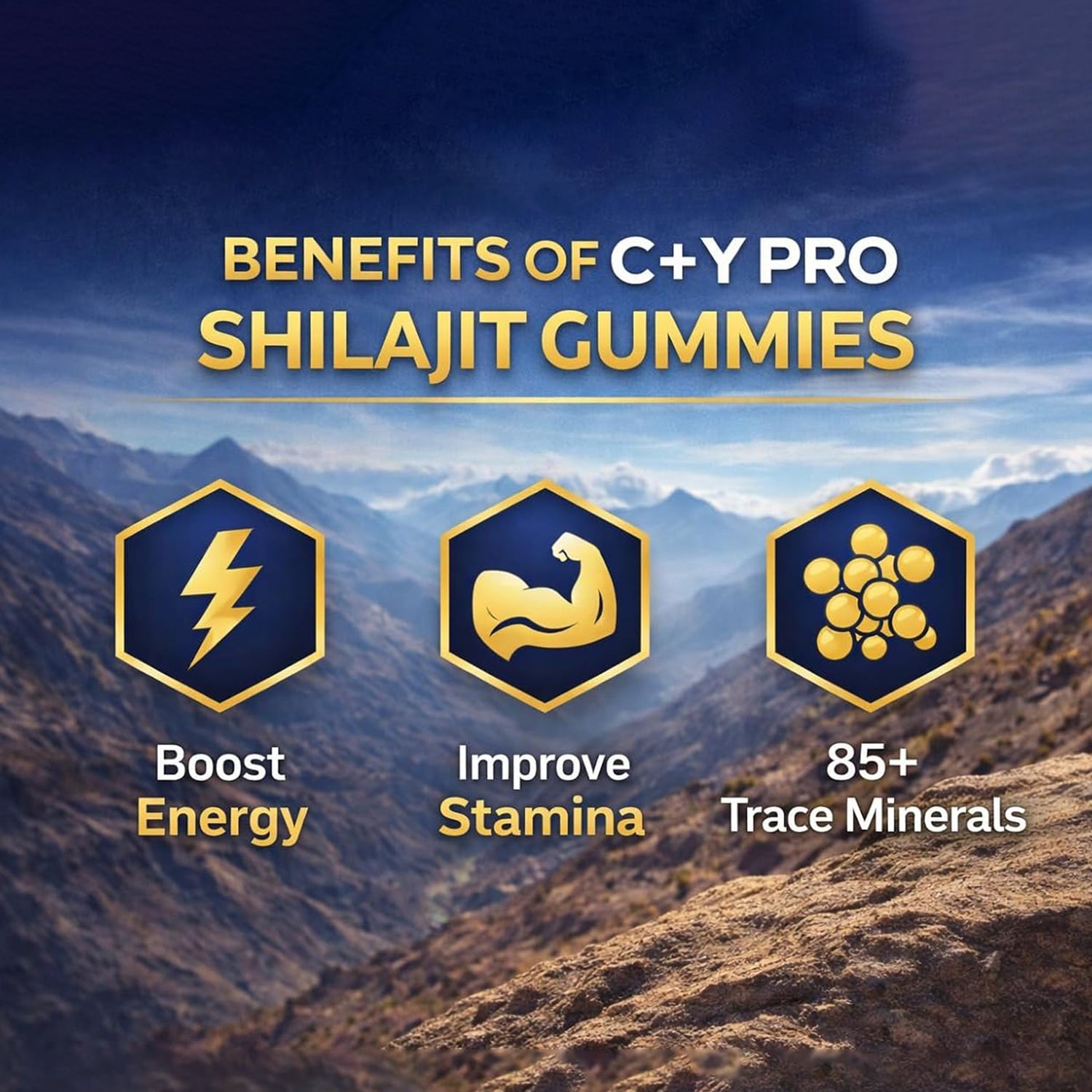Pure Himalayan C+Y PRO Shilajit Gummies –Tamarind Flavour |60 Gummies | Adult Supplement